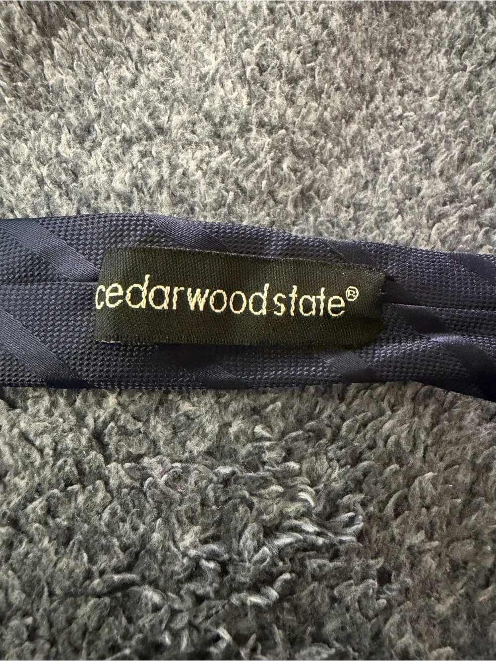 Cedarwood State Navy Blue Skinny Striped Necktie